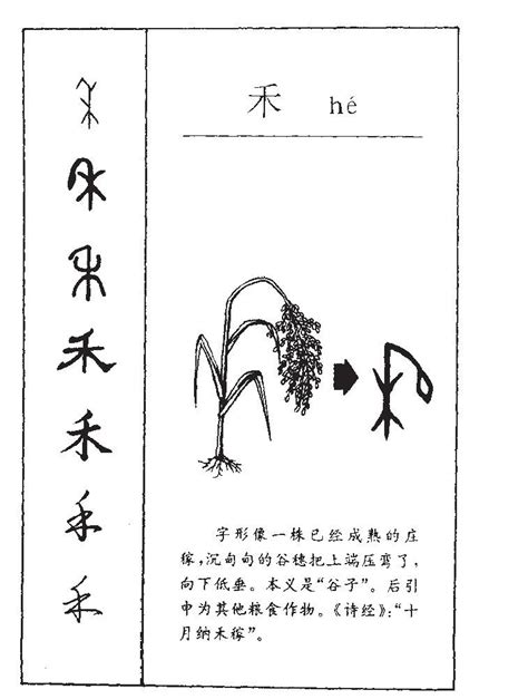 有禾的字|含有禾的汉字